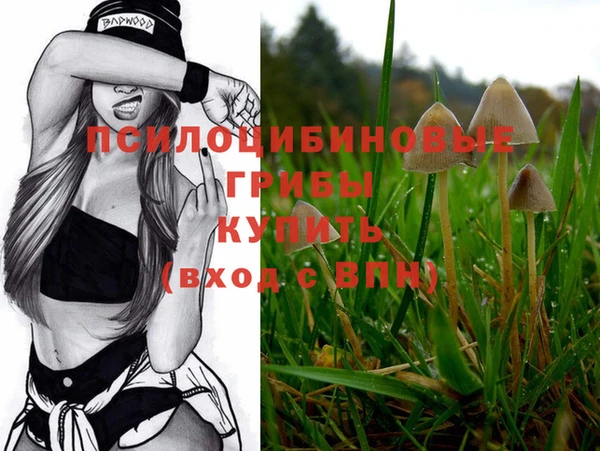 таблы Абинск