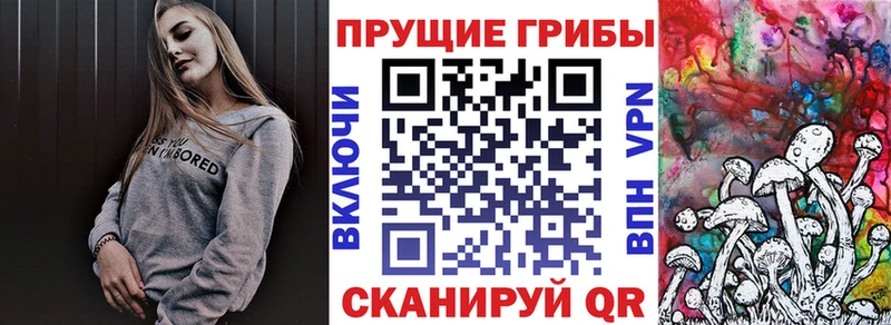 Псилоцибиновые грибы GOLDEN TEACHER KRAKEN рабочий сайт Магнитогорск