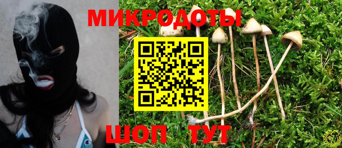 Галлюциногенные грибы мухоморы Магнитогорск